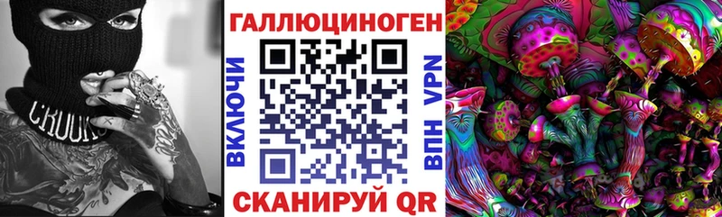 mega ONION  Цоци-Юрт  Псилоцибиновые грибы GOLDEN TEACHER  где продают наркотики 